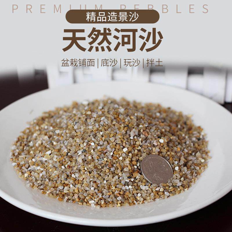 天然河砂沙子污696水处理栽盆造景鱼缸装自饰水厂过滤滤来料