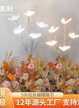 电镀婚庆发光亚力舞ISV动蝴蝶灯路引婚礼堂宴克会道厅舞台布置具