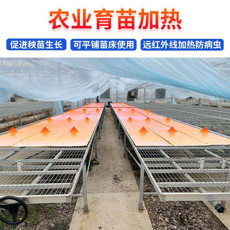 农业热膜苗床加热大棚冬季保温防冻害电大棚悬挂蔬育大棚增菜温
