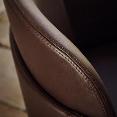 现代简艺约椅旋转餐椅网红轻闲奢休电脑椅单人铁书房椅酒店TEA餐