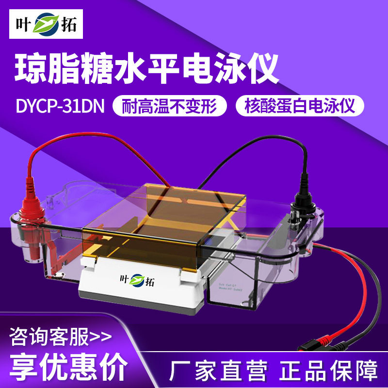 上海叶拓 YT-mini2/YT-mini4实验室电泳仪可搭配电源DYY-6C/6D
