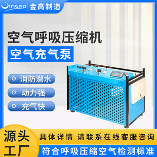 30MPA机械空压机潜水呼吸高压充气泵4KW阀门气瓶小型填充泵正压式