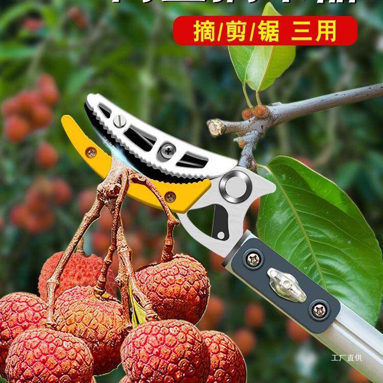 摘神水果器伸缩修ltao7046杆高空采摘果枇杷荔杨梅龙眼莲蓬剪刀枝