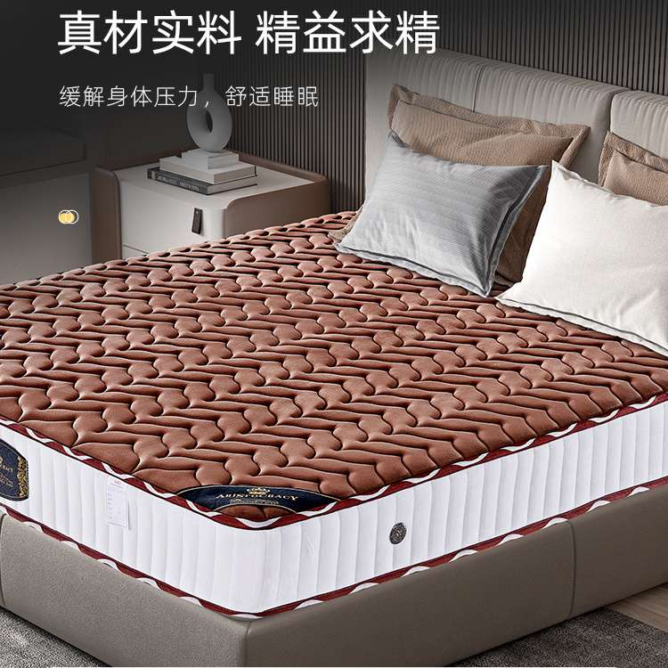 弹簧床垫1.8米经济型家用席梦思椰棕乳胶床垫子1.5米20cm厚可定制