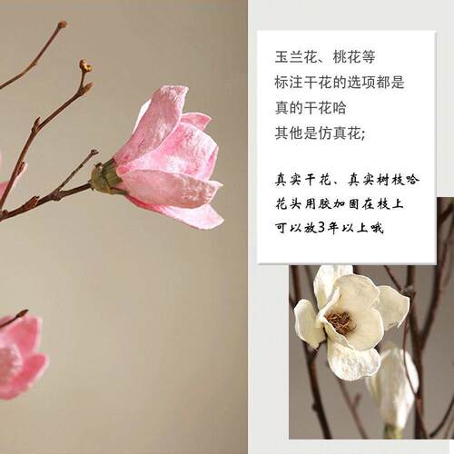 玉兰干枝干花束树枝树花兰装饰玉玄关花tbeQbc/2长枝