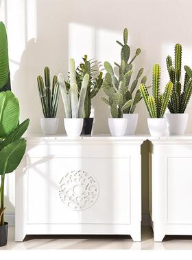 北in窗s仿真LD-XRZ1仙人掌沙漠室内掌装欧饰橱造景仙人盆栽植物仿