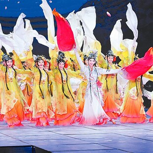 长袖 古典舞蹈服桃李j杯百花争妍女舞蹈表演服装 舞台 水袖 戏服 古装