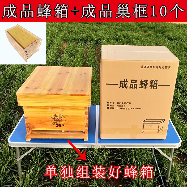 蜜蜂活巢全套框木养蜂工具蜂箱养蜂箱中七框蜂箱 杉标准箱 十框框