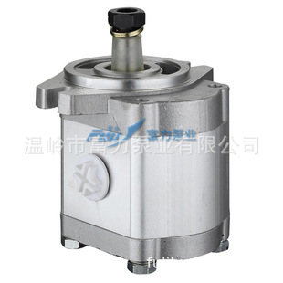 农机泵 F316L 福田 厂家直销 齿轮泵 FT700.58B.020