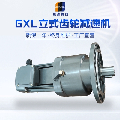 厂家现货GXL齿轮减速机  立式纯铜线圈代替线针轮减速机 保修一年