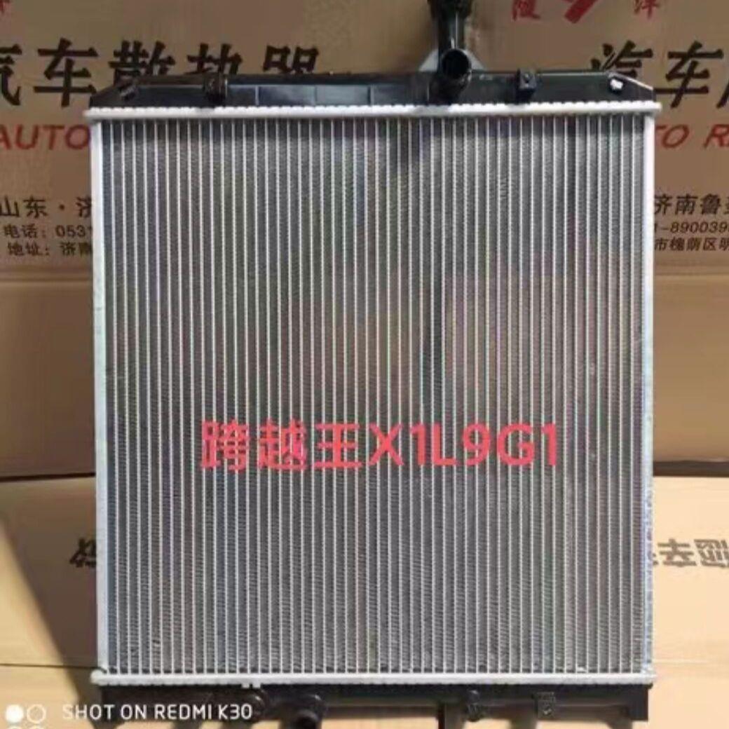 长安新豹水箱星豹MlNl跨