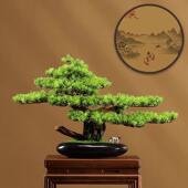 仿真内绿植物新中式 饰 迎摆客WJ松盆景树罗汉松客厅造景室盆载假装