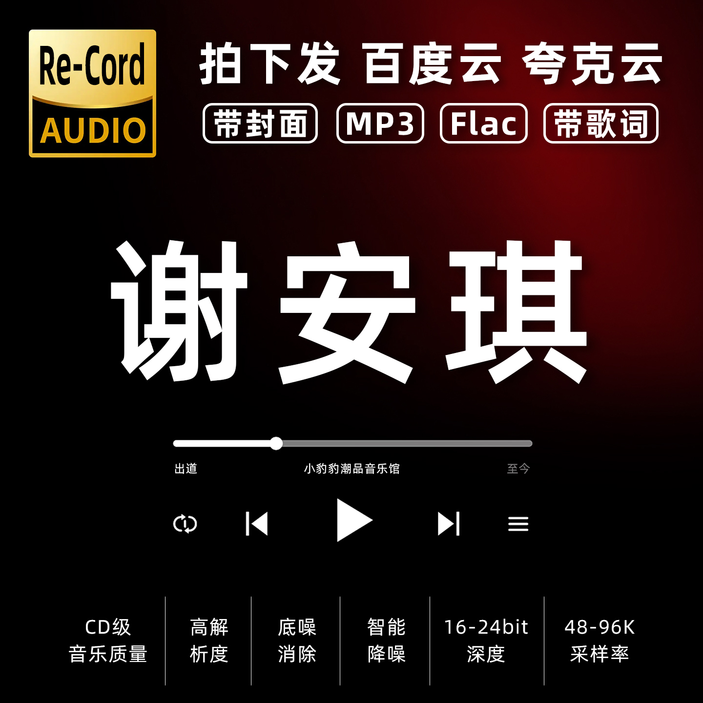 谢安琪黑胶mp3全集无损音乐车载华语经典华语流行flac音乐分享