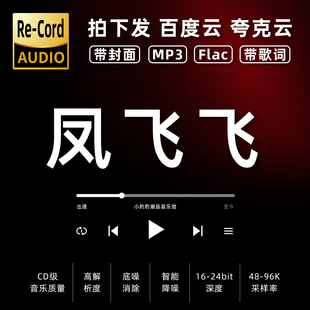 凤飞飞精选400首mp3无损音乐车载华语经典 华语流行flac音乐分享