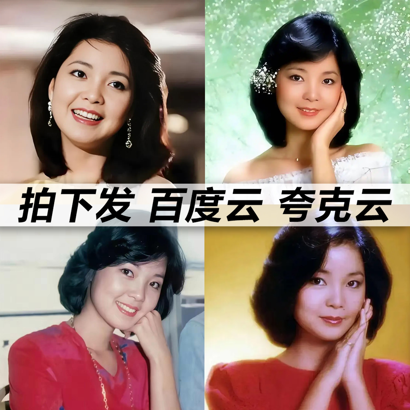 邓丽君精选500首mp3无损音乐车载华语经典华语流行flac音乐分享