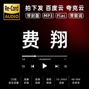 费翔黑胶mp3全集无损音乐车载华语经典 华语流行flac音乐分享