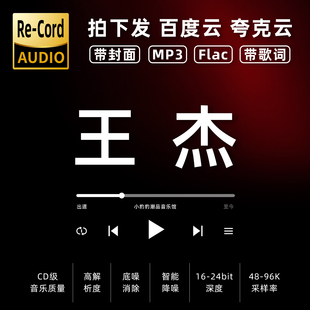 王杰黑胶mp3全集无损音乐车载华语经典 华语流行flac音乐分享