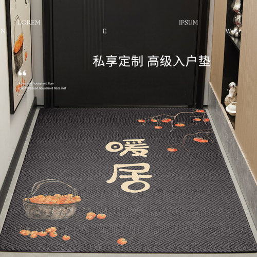 可裁剪入户门地垫2024新款门垫C进门地垫入户门垫防滑耐磨玄关脚
