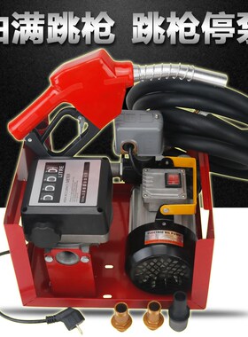 柴油加油泵d12/24/220V电动加油机 柴油计量加油泵自动跳枪自封枪