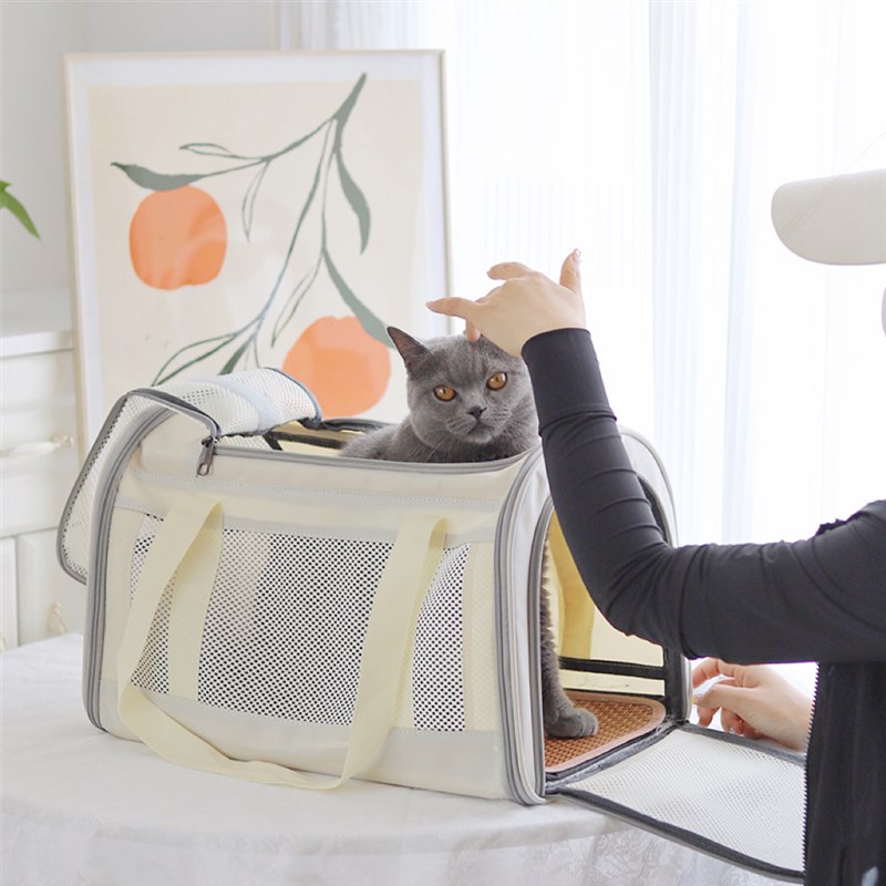 猫包外出便携宠物外出包狗狗背包携带折叠透气手提书包猫咪包单肩