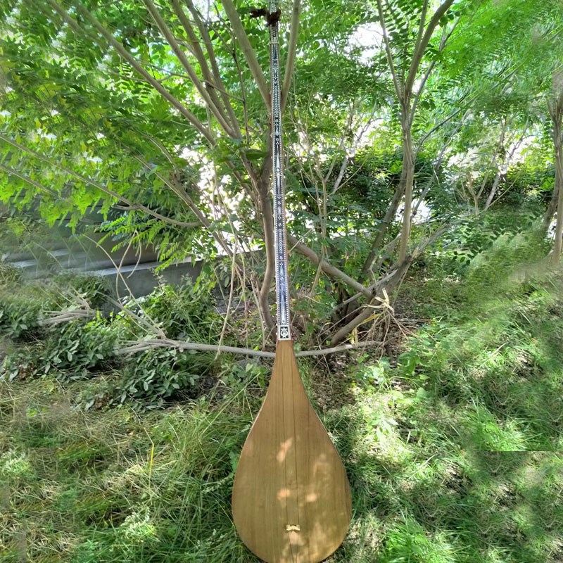 新疆传统民族乐器维吾尔族弹拨乐器都塔尔标准演奏琴学生琴练习琴