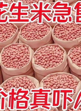 【亏本5斤】新花生米现剥精选无壳新货粉皮新鲜大粒白沙花生米生