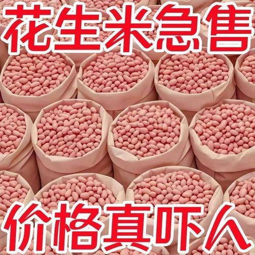 【亏本5斤】新花生米现剥精选无壳新货粉皮新鲜大粒白沙花生米生