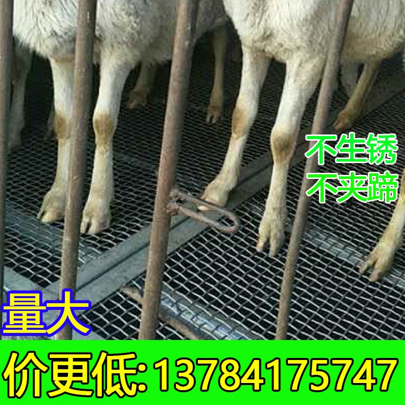 漏养羊鸭漏网床网热鹅用设备钢丝网镀锌网编织粪的钢网鸡围栏粪羊