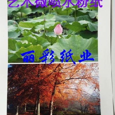 艺术粉红艺术A4A3+色喷墨0微克水粉纸纸卡纸19A3进口微喷
