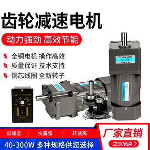 变频减速调速电机调速器300W微型齿轮减速马达单相直流调速电机