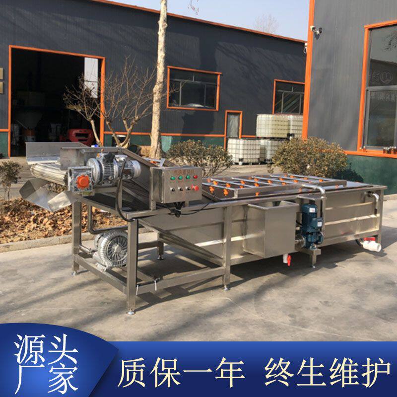 喷淋式气泡清洗机全自动菌类香菇气泡清洗机器上海青蔬菜清洗设备