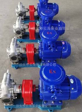 供应KCB200不锈钢齿轮泵流量每小时12个立方泊头齿轮泵