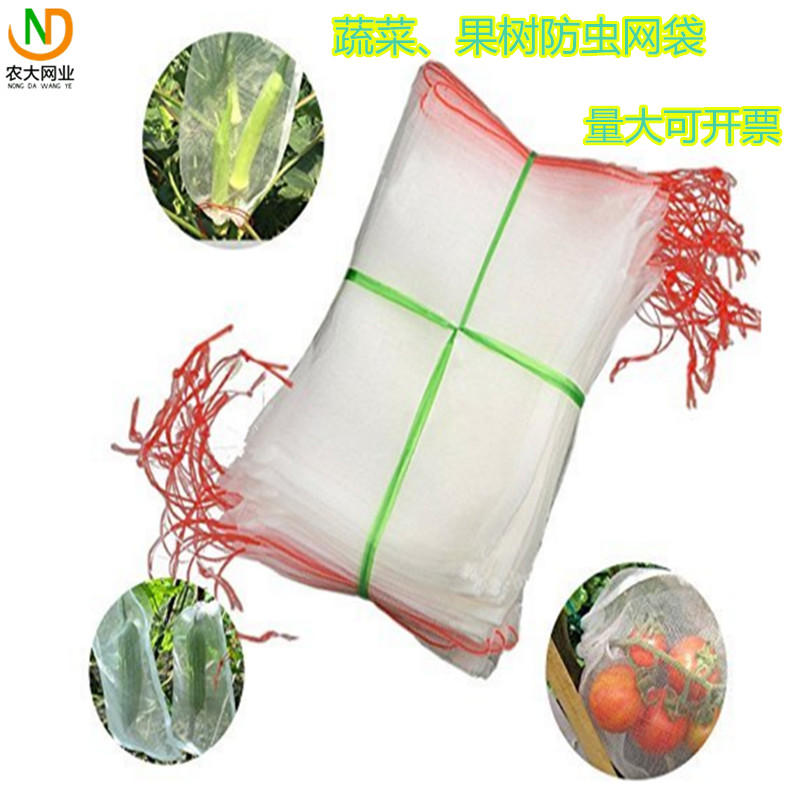尼龙防虫水稻育种网袋火龙果葡萄瓜果番茄蔬菜套袋 浸种催芽纱袋