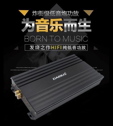 D类单路数字车载大功率纯重低音可推双12寸无源双音圈低音炮功放