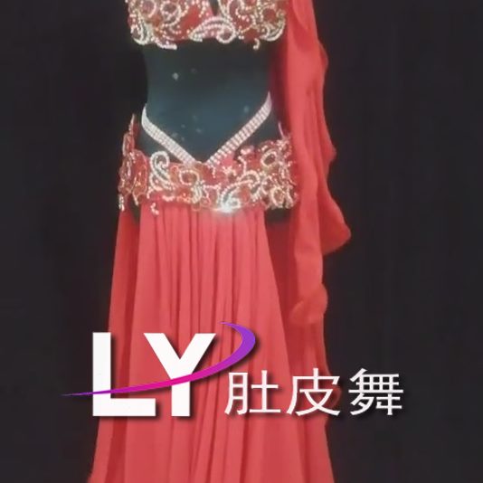 肚皮舞 肚皮舞服装套装装订制表演服高档红色练习服 肚皮舞演出服