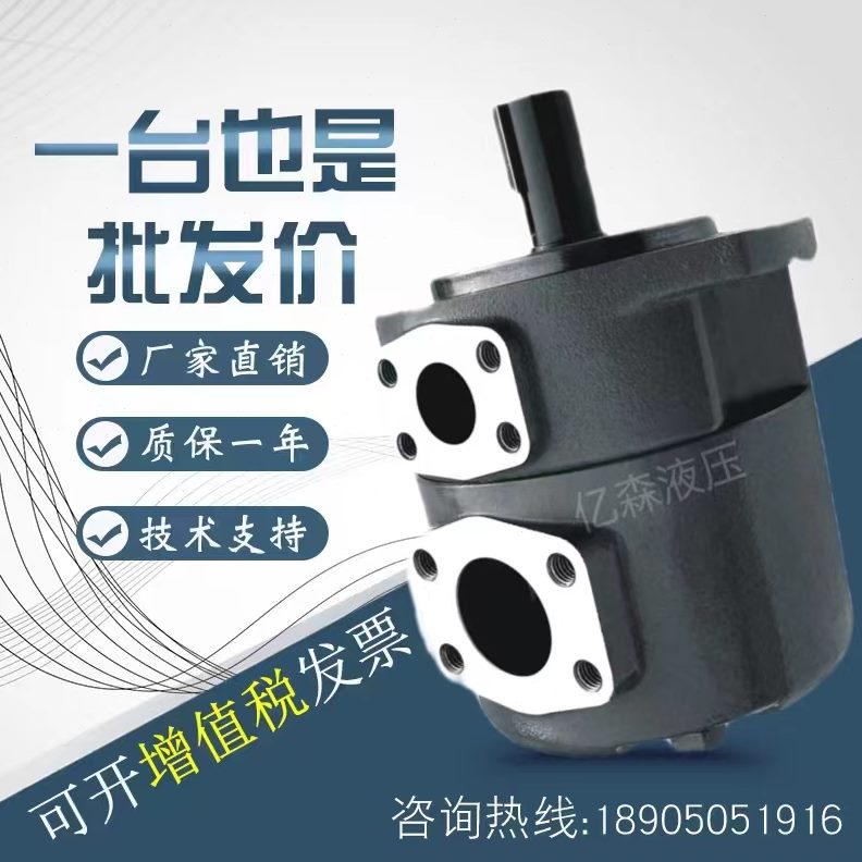 53 1P2B11/-1/计15/D/C 东京1A7/141012 -4Q18-///器/6/叶片泵1S