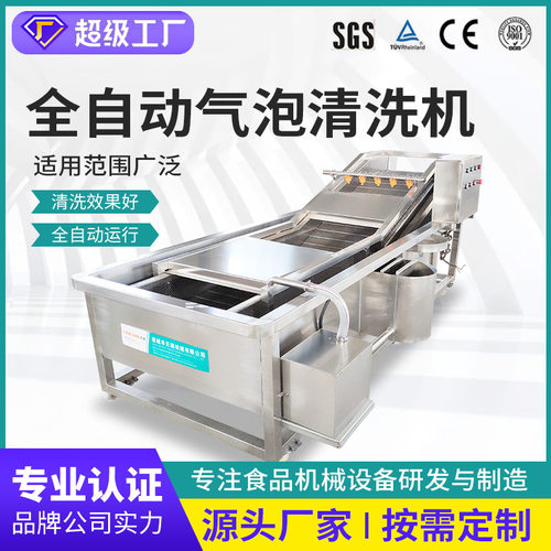 优惠净菜清洗设备杨梅草莓 辣椒水果清洗机 果蔬气泡清洗机