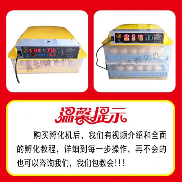 卵蛋高端化厂小鸡机暖机箱抱家孵化器鸭化家用小型 小鸡鹅全自动