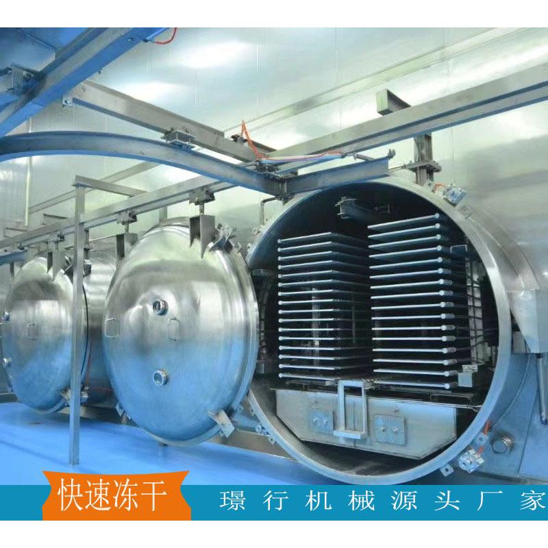 肉包梨片真空冻干机水饺馄饨冷冻干燥设备肉制品海鲜真空冻干机