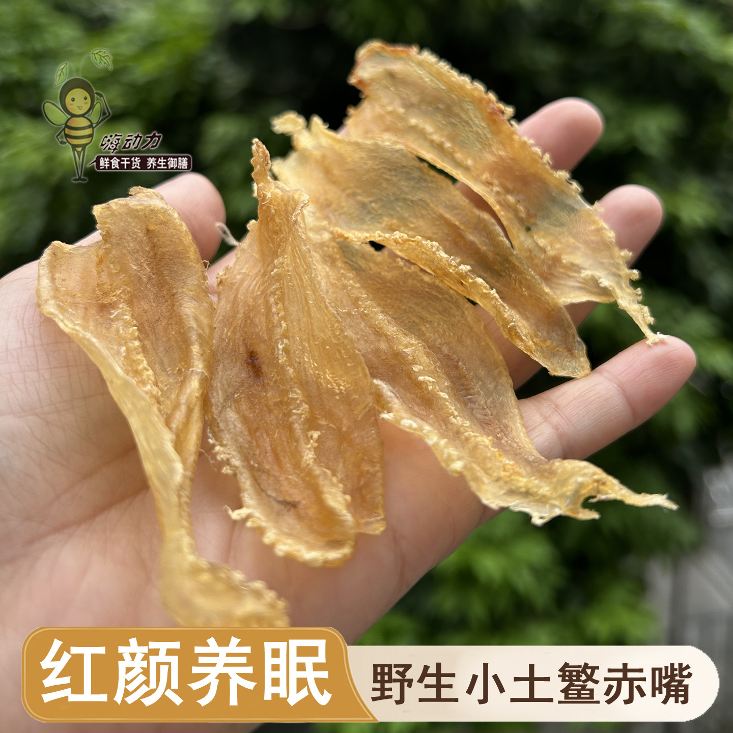 嗨动力本港花胶野生小土鳘赤嘴公母深海孕妇滋补鳘鱼胶干货正品