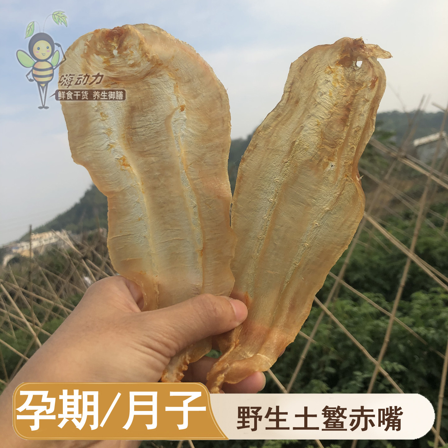 嗨动力本港野生土鳘赤嘴公母深海花胶干货正品旗舰店鱼胶月子滋补