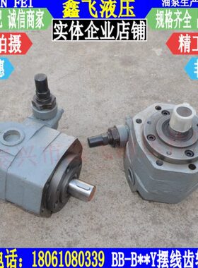 BB-B125Y摆线泵B125Y1摆线齿轮泵b125y2转子油泵 润滑泵 摆线油泵