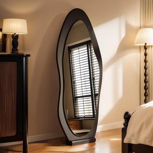 中古全身镜家用落地镜网红异形穿衣镜女生卧室现代简约风试衣镜子