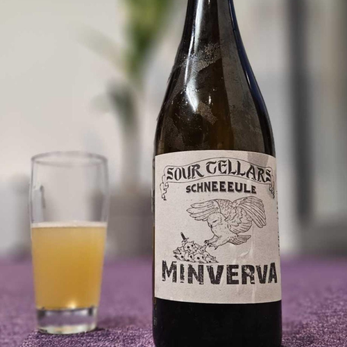 德国雪鹰柏林酸小麦精酿啤酒