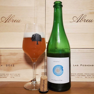 捷克 隐喻 橙心/陶罐/今朝之樱/桃里 野菌艾尔 精酿啤酒