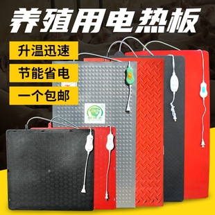 仔猪用电热板兽用不锈钢加热板垫子母猪产牀保温箱加热小猪保温板