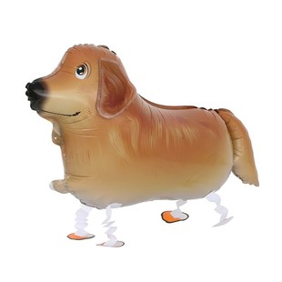 10个网红卡通宠物散步走地气球狗狗走路柯基金毛狗气球儿童玩具