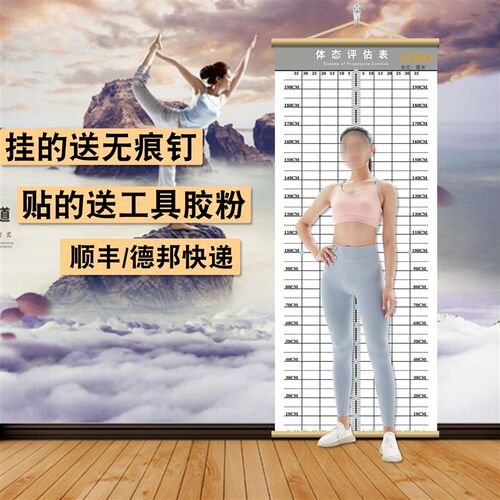 体态评估表墙贴健k身房体测网格纸瑜伽馆私教姿势体位背景墙体姿