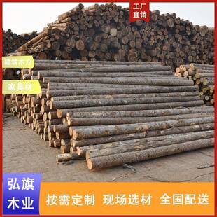 落叶松原木桩户外河道护岸4米打桩木绿化支撑杆米奥松6米杉木桩