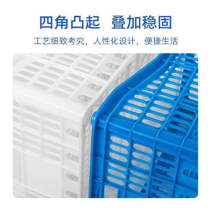 梅装葡萄的塑料无品牌/筐杨框长方形水果胶熟镂空周转筐胶